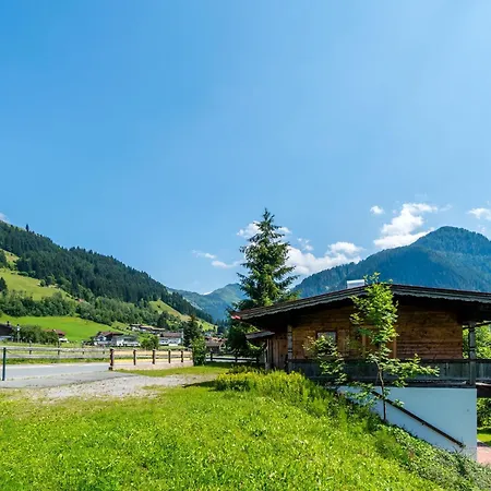In Kirchberg With Terrace And Garden